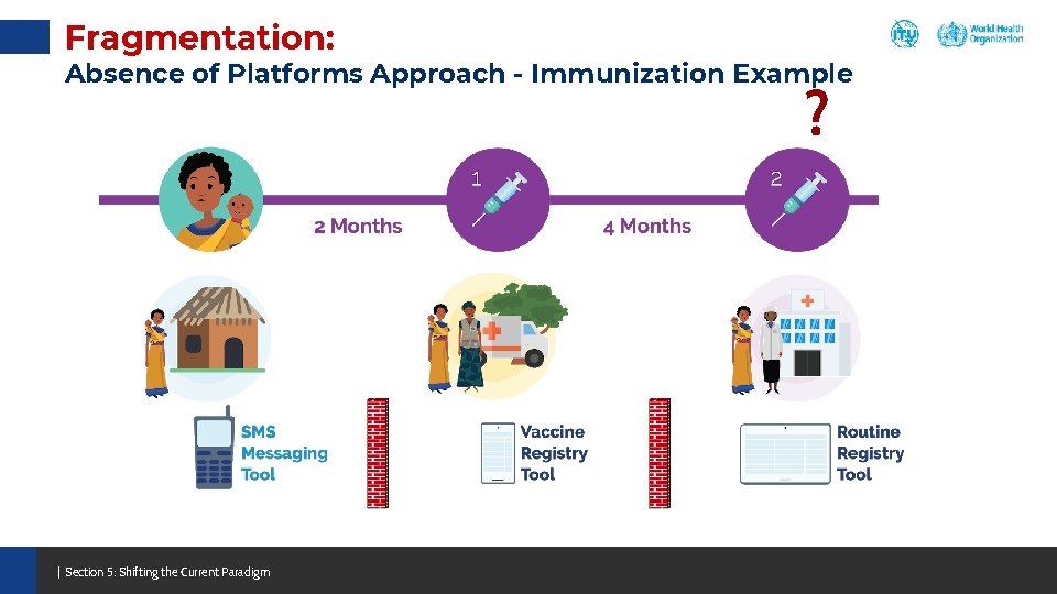 Fragmentation: Absence of Platforms Approach - Immunization Example ? | Section 5: Shifting the Fragmentation: Absence of Platforms Approach - Immunization Example ? | Section 5: Shifting the