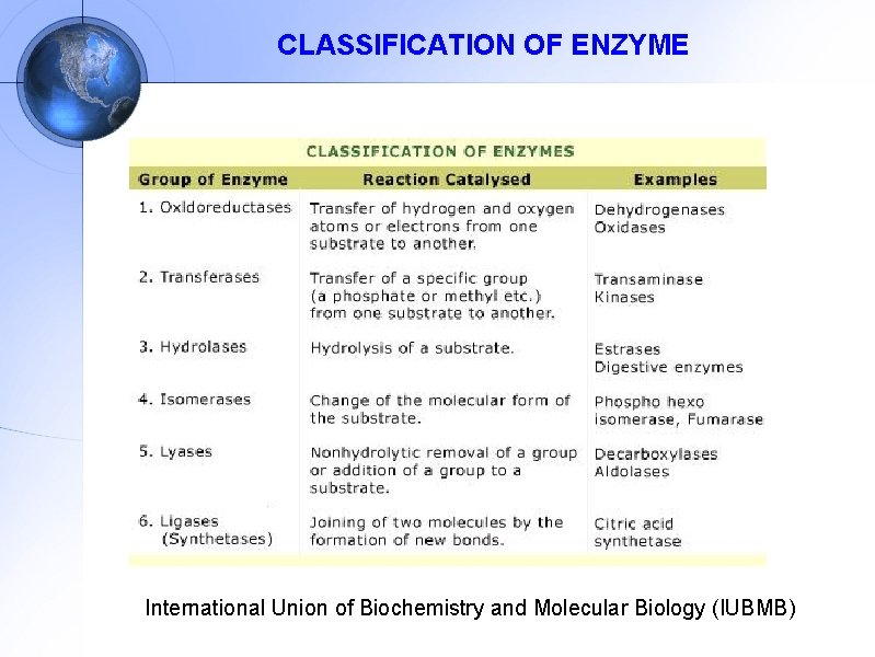 CLASSIFICATION OF ENZYME International Union of Biochemistry and Molecular Biology (IUBMB) 