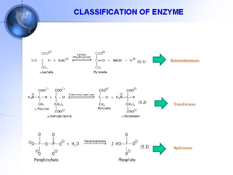 CLASSIFICATION OF ENZYME 