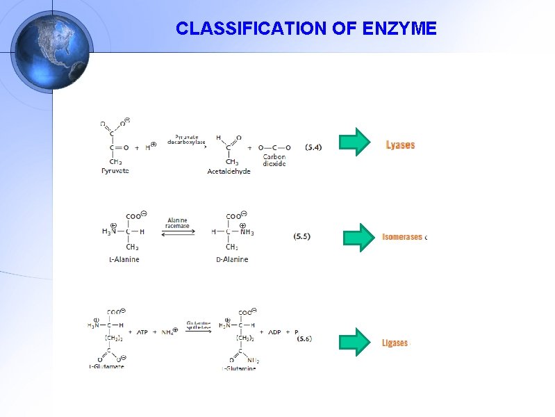 CLASSIFICATION OF ENZYME 