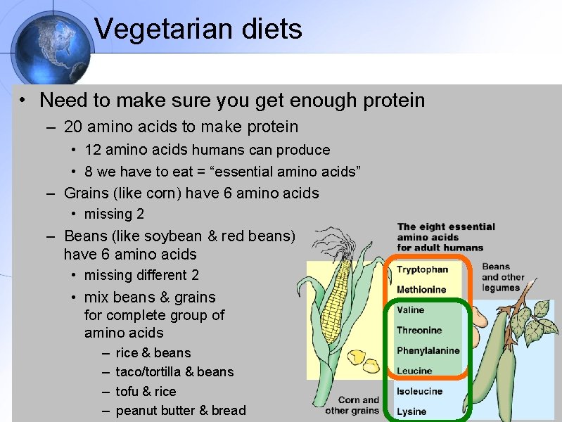Vegetarian diets • Need to make sure you get enough protein – 20 amino
