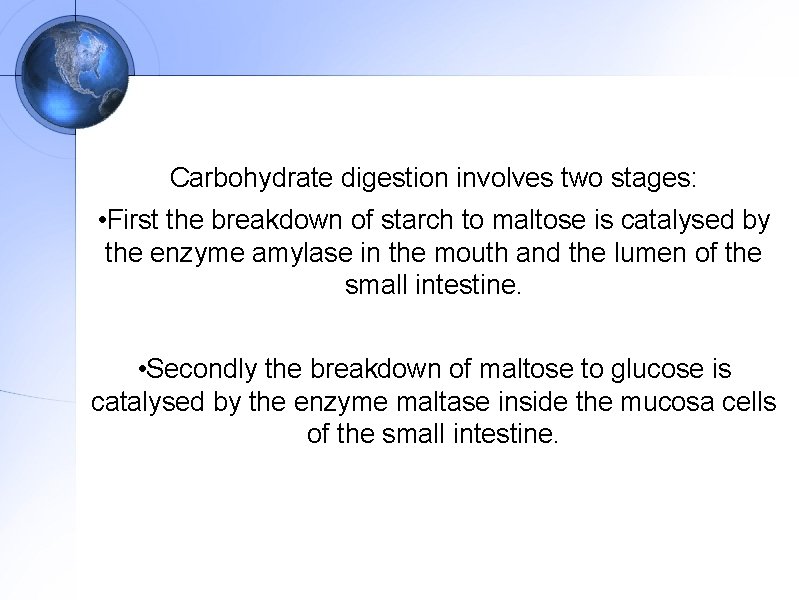 Carbohydrate digestion involves two stages: • First the breakdown of starch to maltose is