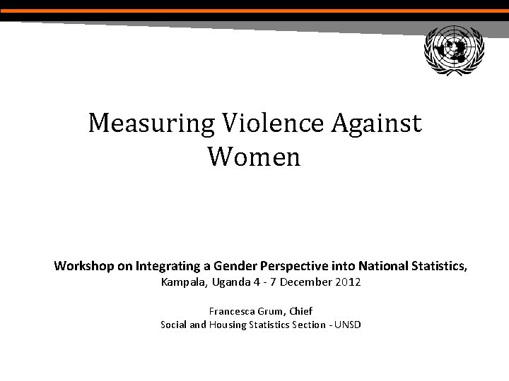 Measuring Violence Against Women Workshop on Integrating a