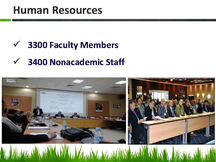 Human Resources ü 3300 Faculty Members ü 3400 Nonacademic Staff 