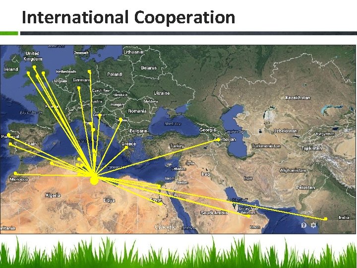 International Cooperation 