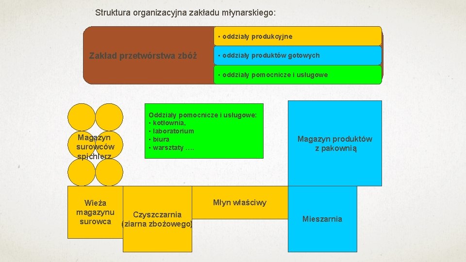 Struktura organizacyjna zakładu młynarskiego: • oddziały produkcyjne Zakład przetwórstwa zbóż • oddziały produktów gotowych