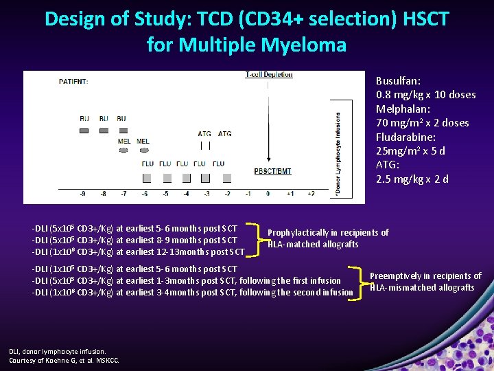 Design of Study: TCD (CD 34+ selection) HSCT for Multiple Myeloma Busulfan: 0. 8