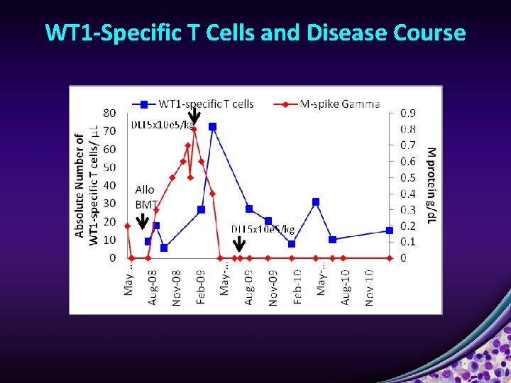 WT 1 -Specific T Cells and Disease Course 