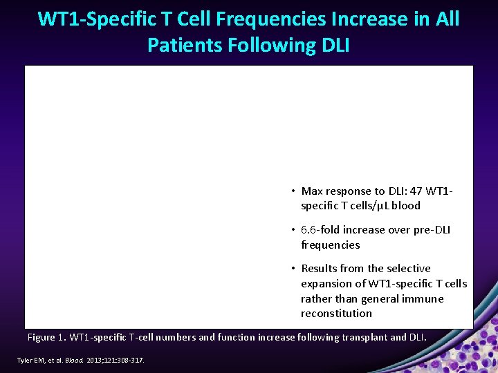 WT 1 -Specific T Cell Frequencies Increase in All Patients Following DLI • Max