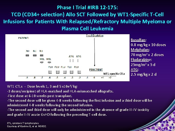 Phase I Trial #IRB 12 -175: TCD (CD 34+ selection) Allo SCT Followed by