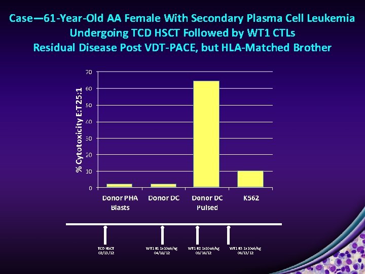 Case― 61 -Year-Old AA Female With Secondary Plasma Cell Leukemia Undergoing TCD HSCT Followed