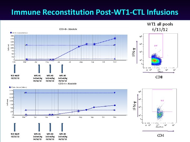 Immune Reconstitution Post-WT 1 -CTL Infusions IFN-γ WT 1 all pools 6/13/12 WT 1