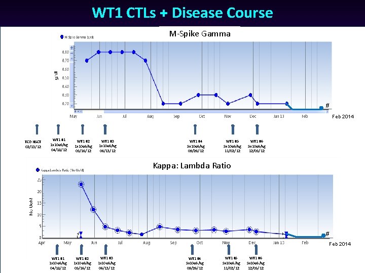 WT 1 CTLs + Disease Course M-Spike Gamma # Feb 2014 TCD HSCT 02/13/12