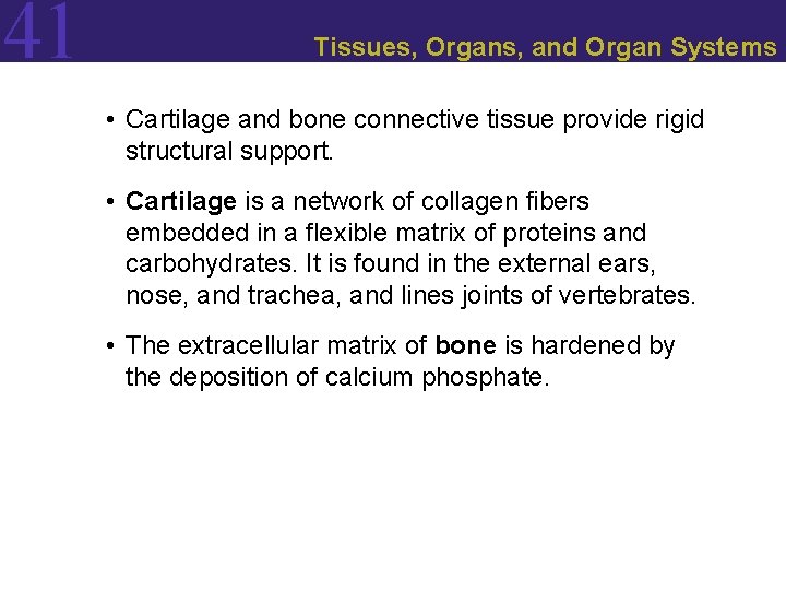 41 Tissues, Organs, and Organ Systems • Cartilage and bone connective tissue provide rigid