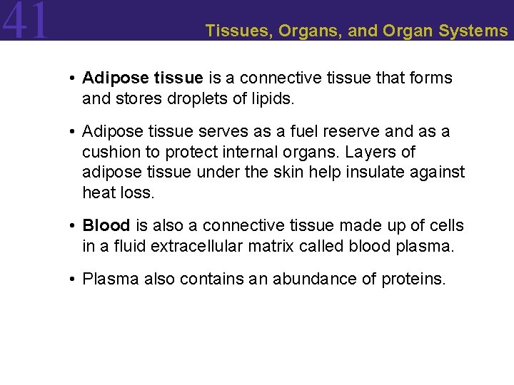 41 Tissues, Organs, and Organ Systems • Adipose tissue is a connective tissue that