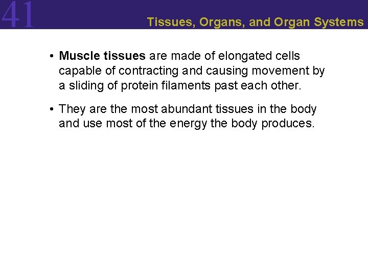 41 Tissues, Organs, and Organ Systems • Muscle tissues are made of elongated cells