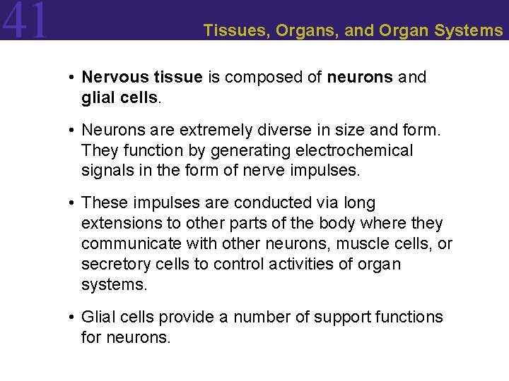 41 Tissues, Organs, and Organ Systems • Nervous tissue is composed of neurons and