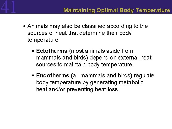 41 Maintaining Optimal Body Temperature • Animals may also be classified according to the