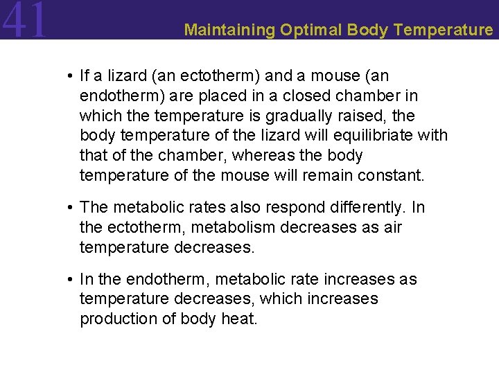 41 Maintaining Optimal Body Temperature • If a lizard (an ectotherm) and a mouse