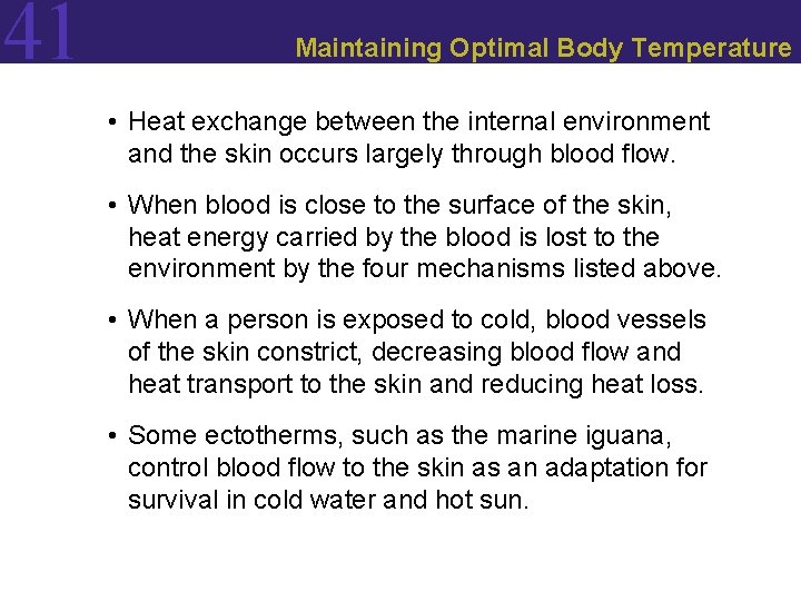41 Maintaining Optimal Body Temperature • Heat exchange between the internal environment and the