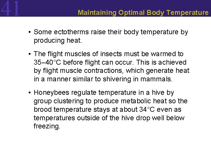 41 Maintaining Optimal Body Temperature • Some ectotherms raise their body temperature by producing