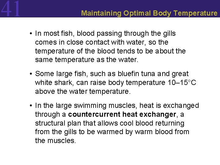 41 Maintaining Optimal Body Temperature • In most fish, blood passing through the gills