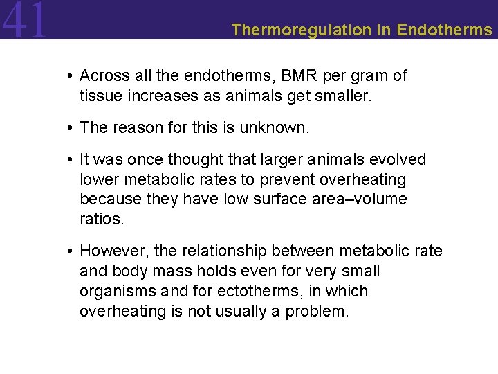 41 Thermoregulation in Endotherms • Across all the endotherms, BMR per gram of tissue