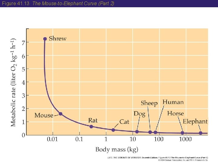 Figure 41. 13 The Mouse-to-Elephant Curve (Part 2) 