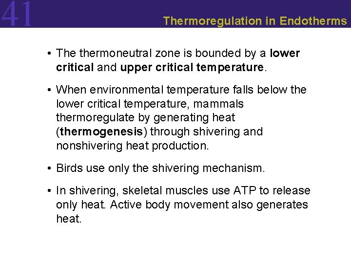 41 Thermoregulation in Endotherms • The thermoneutral zone is bounded by a lower critical