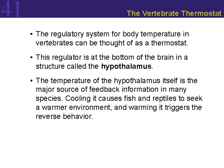 41 The Vertebrate Thermostat • The regulatory system for body temperature in vertebrates can