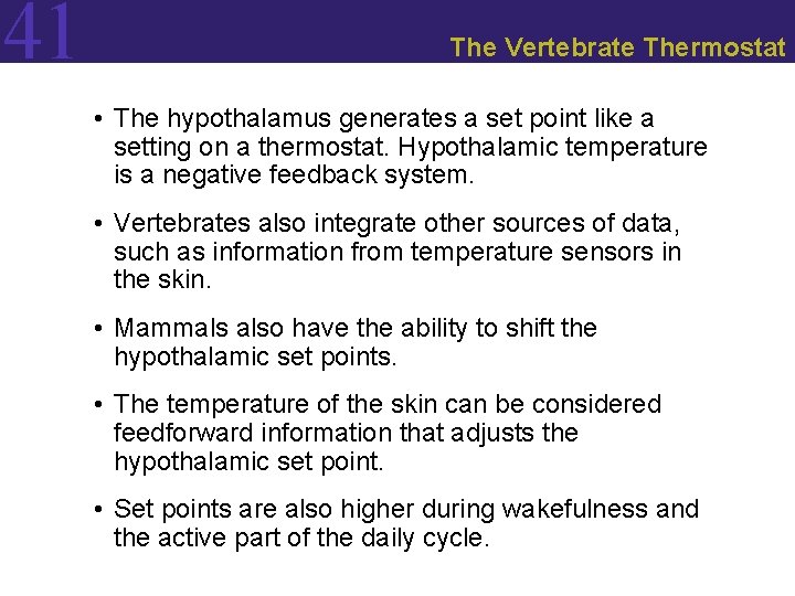 41 The Vertebrate Thermostat • The hypothalamus generates a set point like a setting