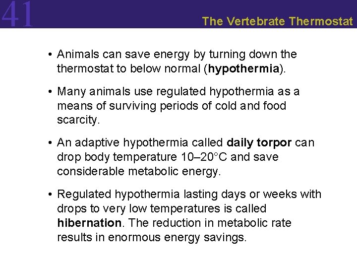 41 The Vertebrate Thermostat • Animals can save energy by turning down thermostat to