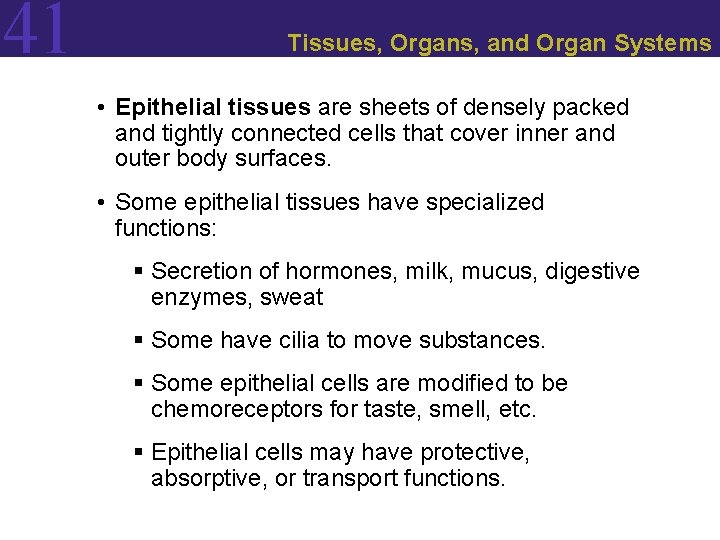 41 Tissues, Organs, and Organ Systems • Epithelial tissues are sheets of densely packed