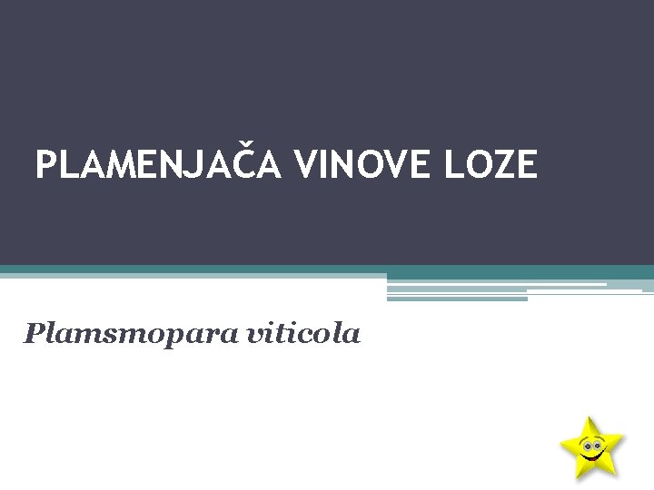 PLAMENJAČA VINOVE LOZE Plamsmopara viticola 