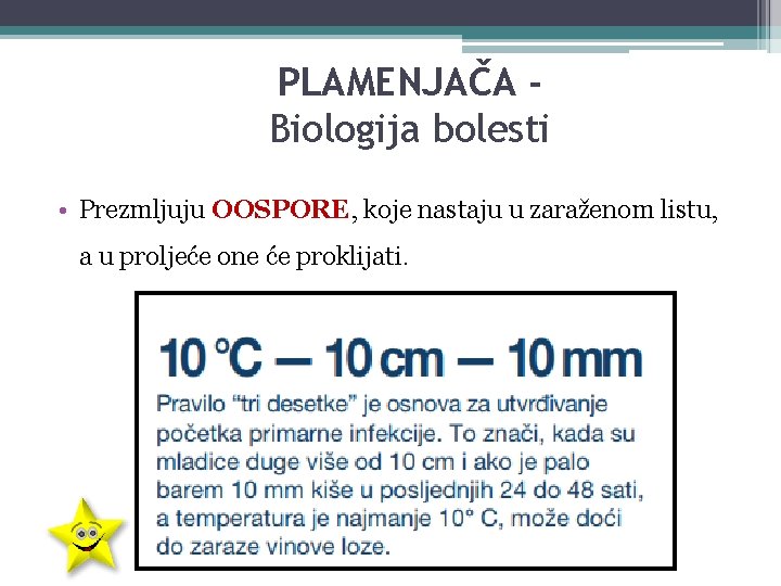 PLAMENJAČA Biologija bolesti • Prezmljuju OOSPORE, koje nastaju u zaraženom listu, a u proljeće