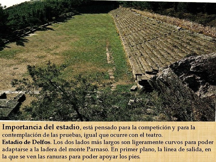 Importancia del estadio, está pensado para la competición y para la contemplación de las