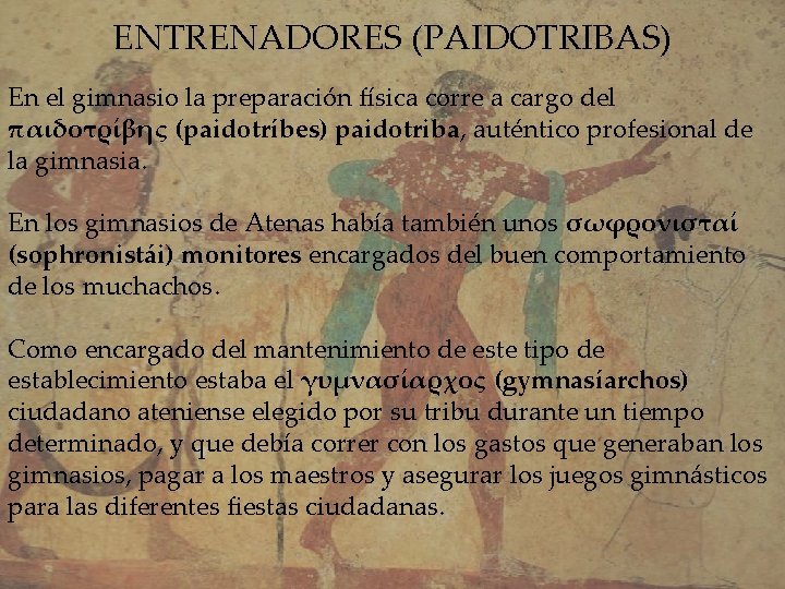 ENTRENADORES (PAIDOTRIBAS) En el gimnasio la preparación física corre a cargo del παιδοτρίβης (paidotríbes)