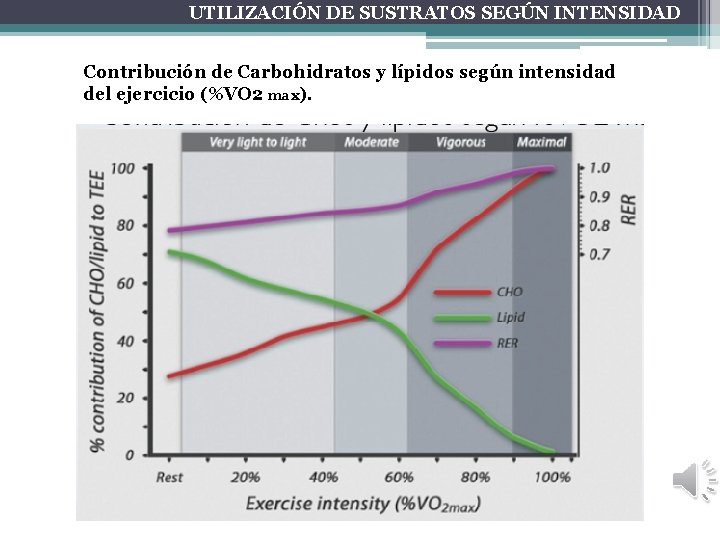UTILIZACIÓN DE SUSTRATOS SEGÚN INTENSIDAD Contribución de Carbohidratos y lípidos según intensidad del ejercicio