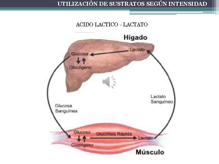 UTILIZACIÓN DE SUSTRATOS SEGÚN INTENSIDAD ACIDO LACTICO - LACTATO 