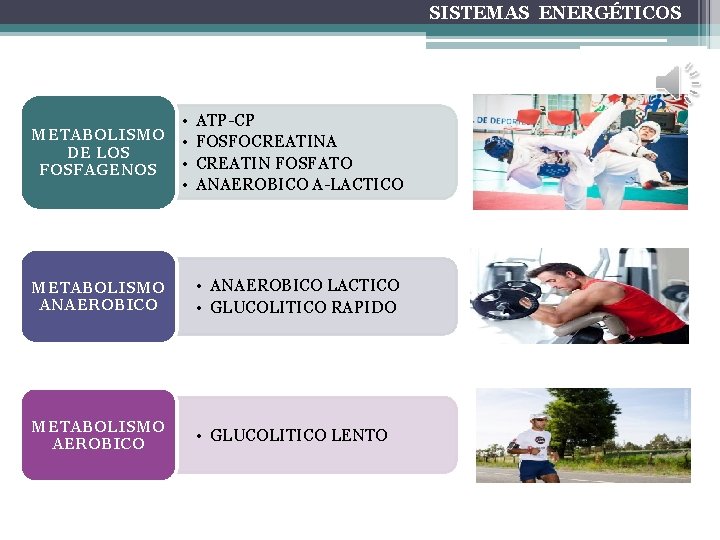 SISTEMAS ENERGÉTICOS • METABOLISMO • DE LOS • FOSFAGENOS • ATP-CP FOSFOCREATINA CREATIN FOSFATO