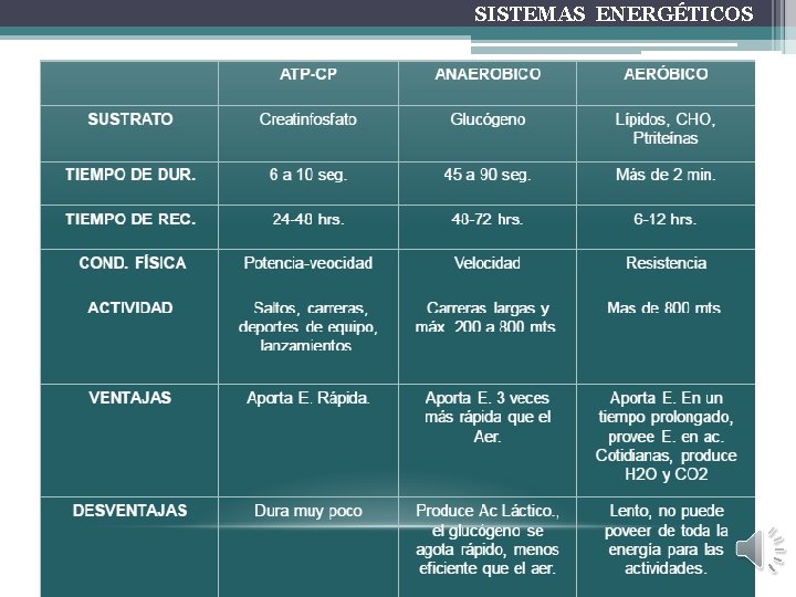 SISTEMAS ENERGÉTICOS 