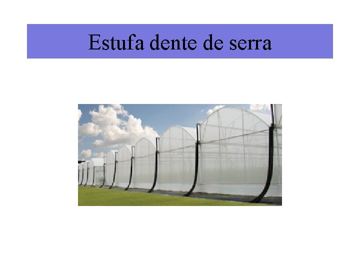 Estufa dente de serra 