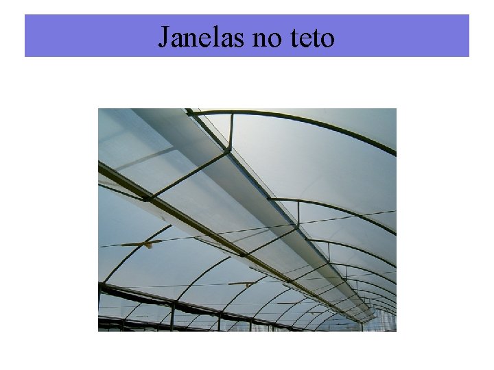 Janelas no teto 