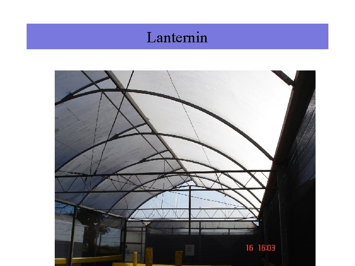 Lanternin 