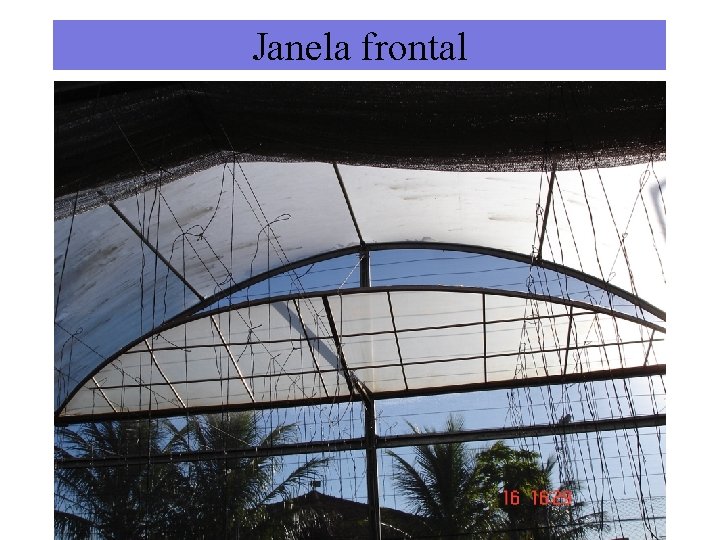 Janela frontal 