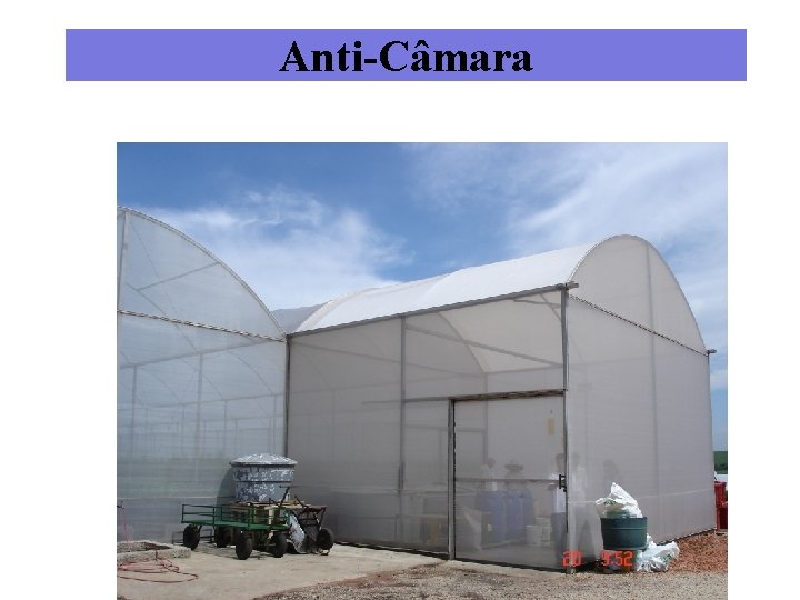 Anti-Câmara 