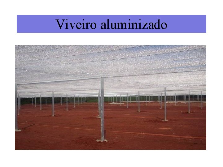 Viveiro aluminizado 