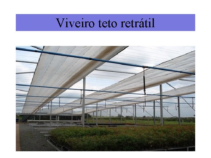 Viveiro teto retrátil 