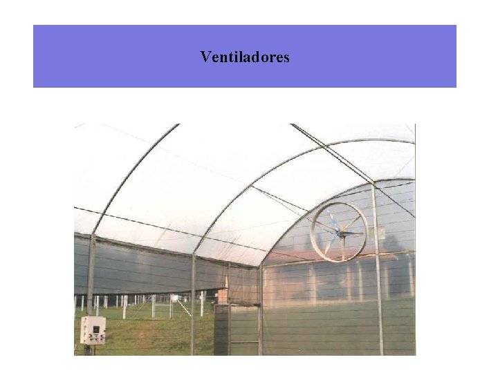 Ventiladores 