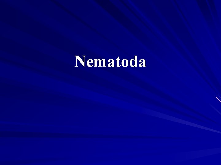 Nematoda 